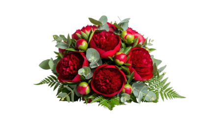 Lush Red Peony Flower Bouquet with Green Eucalyptus and Fern Leaves isolated PNG with Transparent Background