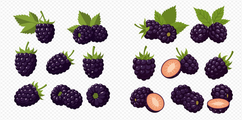 A collection of fresh, ripe blackberries in various arrangements, including whole berries, clusters with green leaves, and cross-sections revealing their juicy interior.