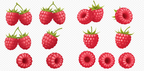 A collection of vibrant red raspberry illustrations, showcasing whole berries with green stems and cross-sections, presented on a transparent background.