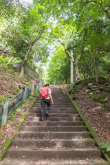 Woman hiking up stone stairs in green forest trail with red backpack at Oyama mountain, Isehara, Kanagawa, Japan