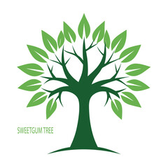 create-a-sweetgum-tree--logo-ou-silhouette-vector-.eps