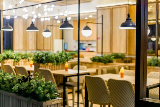 Modern cafe interior with wooden paneling, hanging pendant lights, wicker chairs, and lush green plants creating a warm, contemporary dining atmosphere.