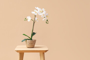 Artificial orchid flower on table against beige background