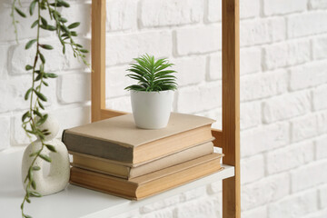 Artificial plant with books on shelf near white brick wall, closeup