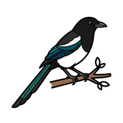 Obraz premium Cartoon magpie bird with black and plumage and iridescent greenblue wings, perched on small brown branch with leaves, isolated on transparent