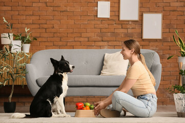 Young woman feeding Border Collie dog with healthy food at home