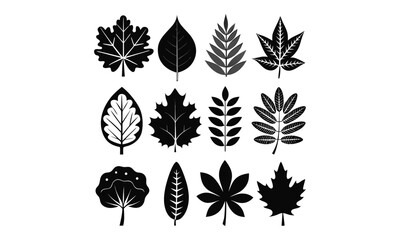 Collection of Different Leaf Silhouettes