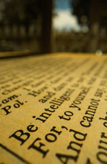 Old Book Macro Perspective