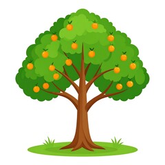 Orange tree illustration