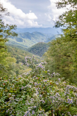 Gatlinburg, Tennessee