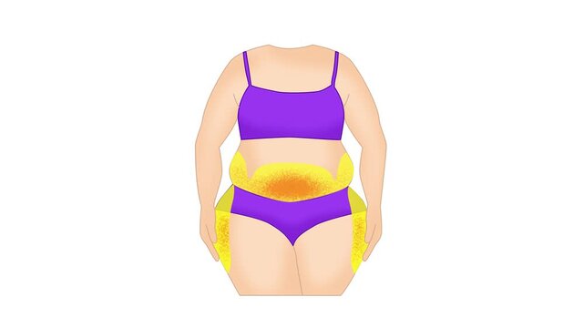 Comparison of weight loss results. 2d animation of Woman's body transformation before and after doing Exercise to lose belly fat and saddlebags fat. white background compatible with background remover