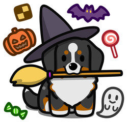 ハロウィン仮装のバーニーズマウンテンドッグ