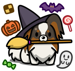 ハロウィン仮装のトライカラーのパピヨン