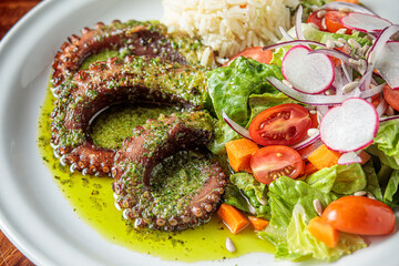 A modern and sophisticated seafood recipe. Grilled octopus served with spices, spicy lemon sauce, and aromatic herbs, accompanied by salad and rice on a white plate.