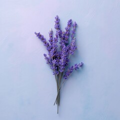 Fototapeta premium Fragrant lavender bouquet on light blue background offers a calming, natural touch for branding, spa promotions, or wellness campaigns