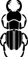 black and white beetle