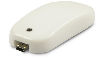 Small, white, rounded, USB dongle on white background