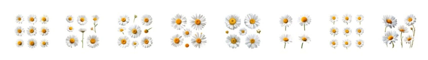 Fototapeta premium Set of minimalist hand drawn botanical illustrations with abstract flowers and plants.