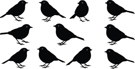Silhouette of birds perched and standing, black sparrow vector illustration, animal shadow art, wildlife bird flock, decorative design, nature pattern