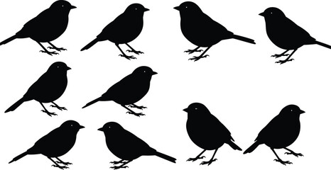 Silhouette of birds sitting, flying and standing, black bird shapes, sparrow illustration, wildlife pattern, animal shadow art, decorative design