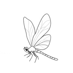 Elegant Dragonfly Line Art PNG Clipart - Simple Insect Outline