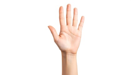 Close-up of a light-skinned hand raising five fingers