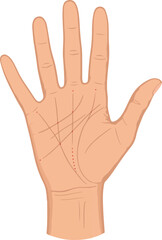 Palmistry Hand Analysis Detailed Lines and Features Depicted.