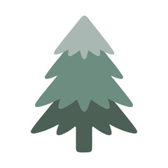 pine tree illustration.isolated on white background