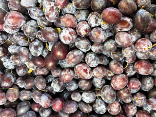 A close-up of ripe plums in rich purple and burgundy hues, covered in a natural, light bloom. The fruits are slightly matte, varying in shape and size, and lie in a dense cluster, creating a delicious