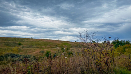 Autumn landscape with overcast sky. Banner, poster, advertising.