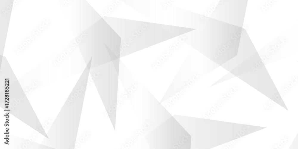 Poster abstract background with liens and triangles shape on white background. white and grey geometric ove