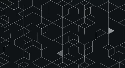 Fototapeta premium Geometric network of interconnected lines forming abstract structures on dark background.