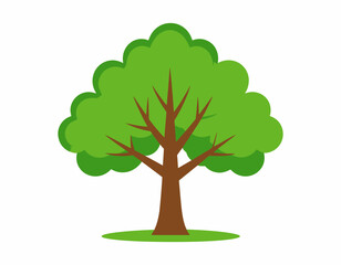 tree with green leaves