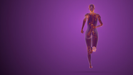 Female Anatomy with Lymphatic Pathways Highlighted