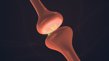 Neuron Synapse Structure Showing Electrical Signal Transfer