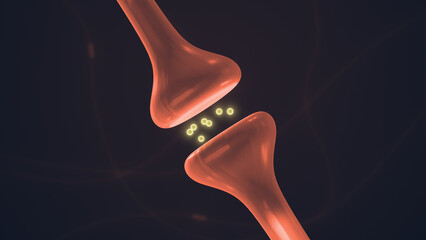 Neuron Synapse Structure Showing Electrical Signal Transfer