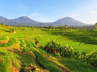 Jatiluwih, Bali  offers beautiful views of terraced rice fields using a traditional irrigation system known as subak.