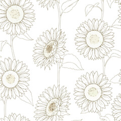 Sunflower pattern illustration on white background floral design artistic drawing.