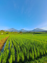 Jatiluwih, Bali  offers beautiful views of terraced rice fields using a traditional irrigation system known as subak.