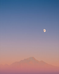 hot air balloon over the desert