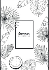 Summer Background with Palm Leaves and Coconut Illustration.