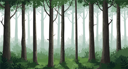 Tall trees in a misty forest with green undergrowth and sunlight.