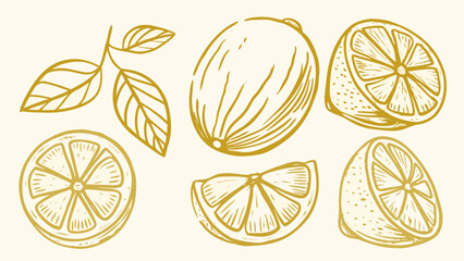 Vibrant golden lemon illustrations and leaves offering a fresh, zesty design element for culinary and summer themes