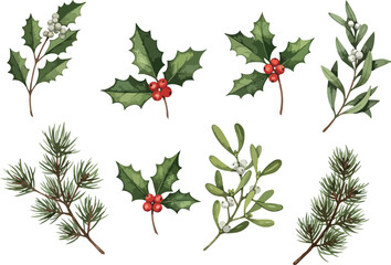 Watercolor Christmas botanical elements collection with holly and mistletoe.