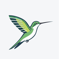 Fototapeta premium vector of a hummingbird in flight