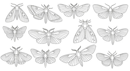 Elegant collection of diverse moth outlines, perfect for natural science illustrations, artistic designs, and educational materials showcasing intricate wing patterns