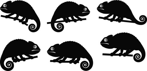 Chameleon silhouettes, perched chameleon, branch poses, curled tail, distinct eye, reptile shapes, wildlife illustration, vector graphic, animal design, nature art