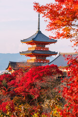 Fototapeta premium Vertical view of Kiyomizu-dera pagoda by fall red maple leaf, Kyoto