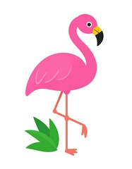 Pink flamingo with green leaves