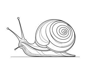 Continuous line art of a snail